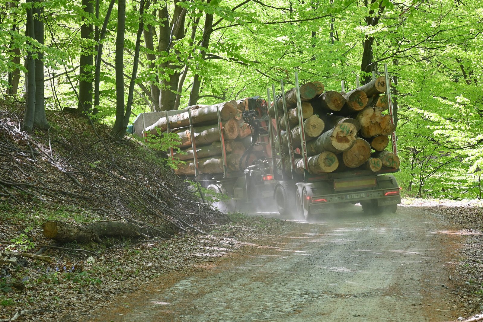 EUDR 2026: the buyer-data test for Western Balkan exporters